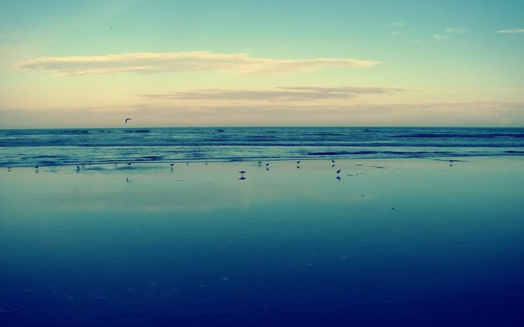 water, Ocean, Landscapes, Seagulls HD Wallpaper Desktop Background