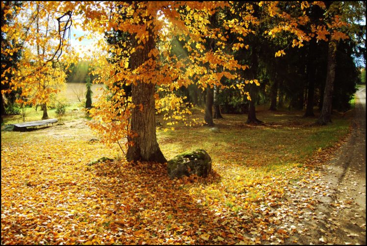 autumn, Trees, Road, Landscape HD Wallpaper Desktop Background