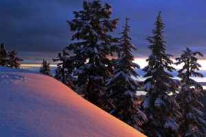 winter, Trees, Hill, Landscape