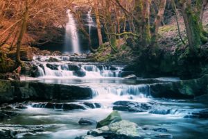 forest, Waterfall, River, Landscape