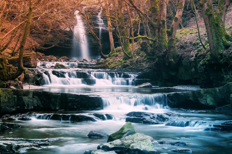 forest, Waterfall, River, Landscape HD Wallpaper Desktop Background