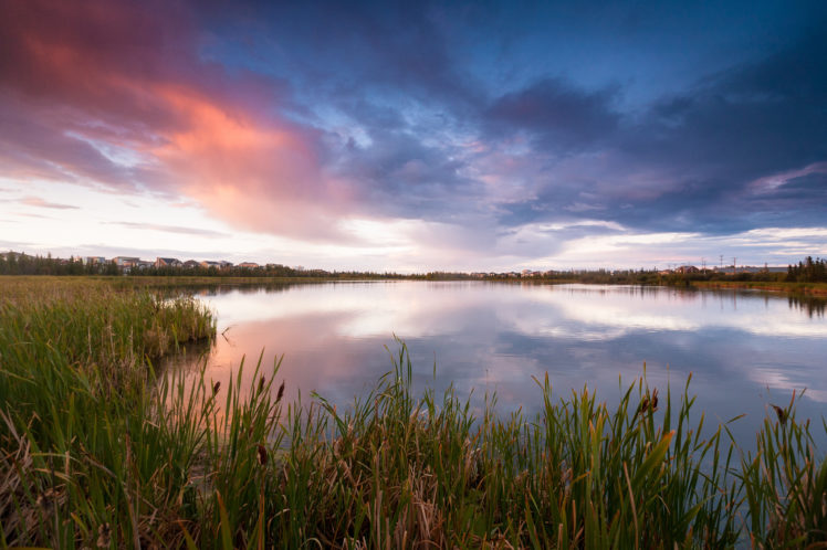 grass, Canada, Lake, Reeds, Houses HD Wallpaper Desktop Background