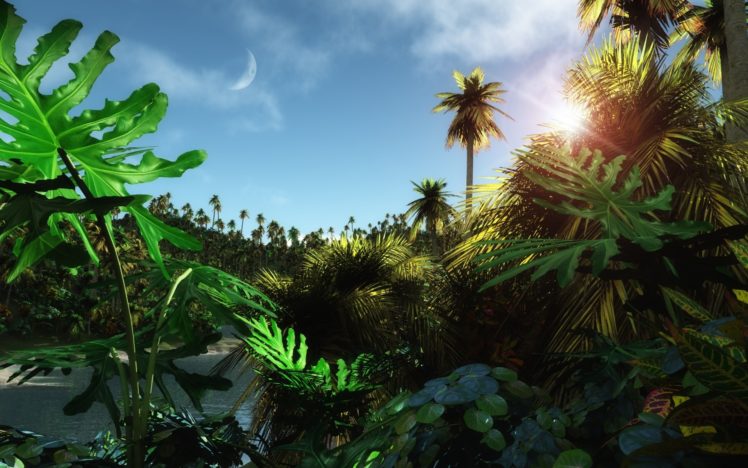 jungle, Wallpaper, Sky, Moon HD Wallpaper Desktop Background