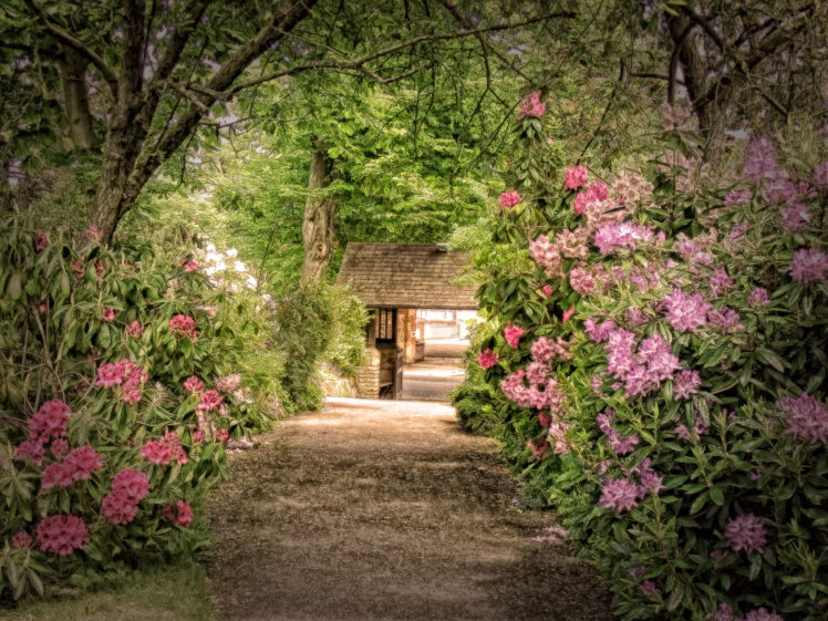 park, Shrubs, Rhododendrons, Walking, Paths, Trees, Photoshop HD Wallpaper Desktop Background