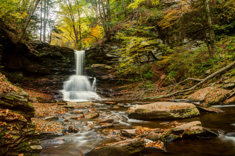 ricketts, Glen, State, Park, Pennsylvania, Pennsylvania, Waterfall, River, Forest, Autumn, Stones HD Wallpaper Desktop Background