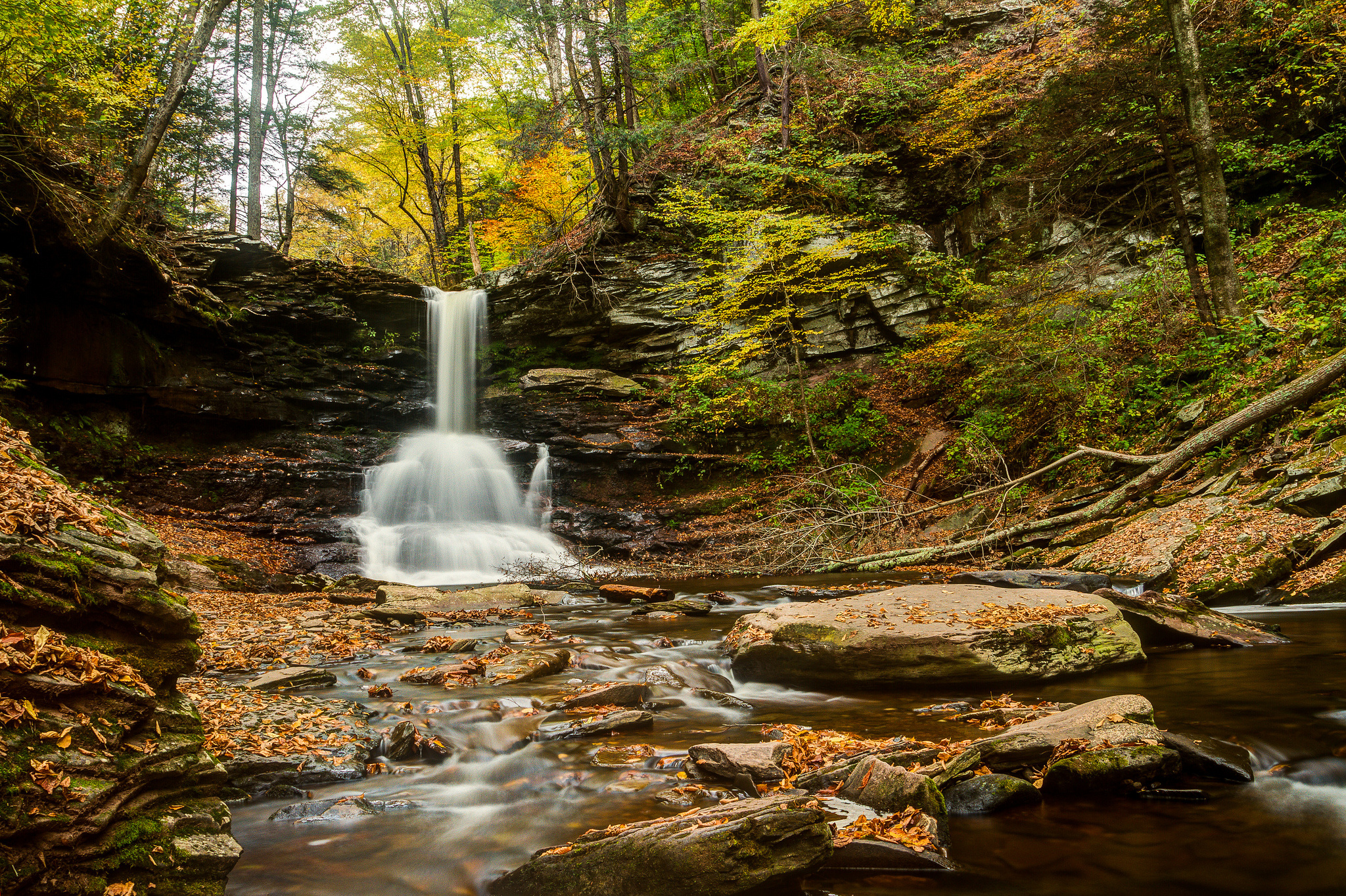 ricketts, Glen, State, Park, Pennsylvania, Pennsylvania, Waterfall, River, Forest, Autumn, Stones Wallpaper