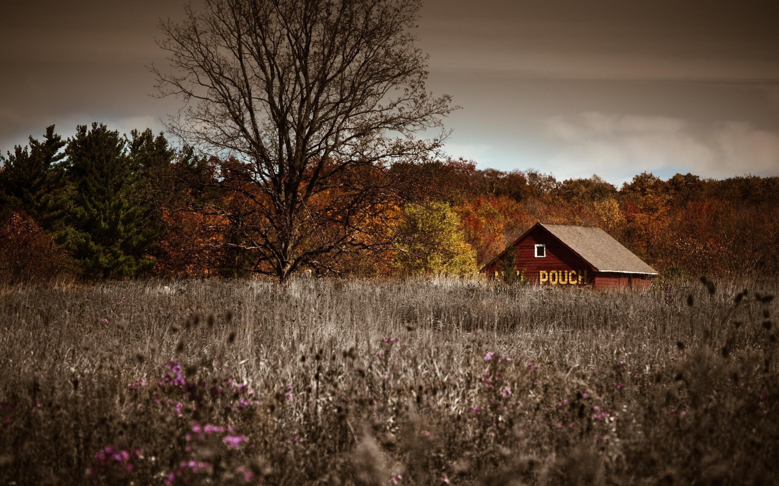 house, Trees, Nature, Wallpaper, Autumn Wallpaper