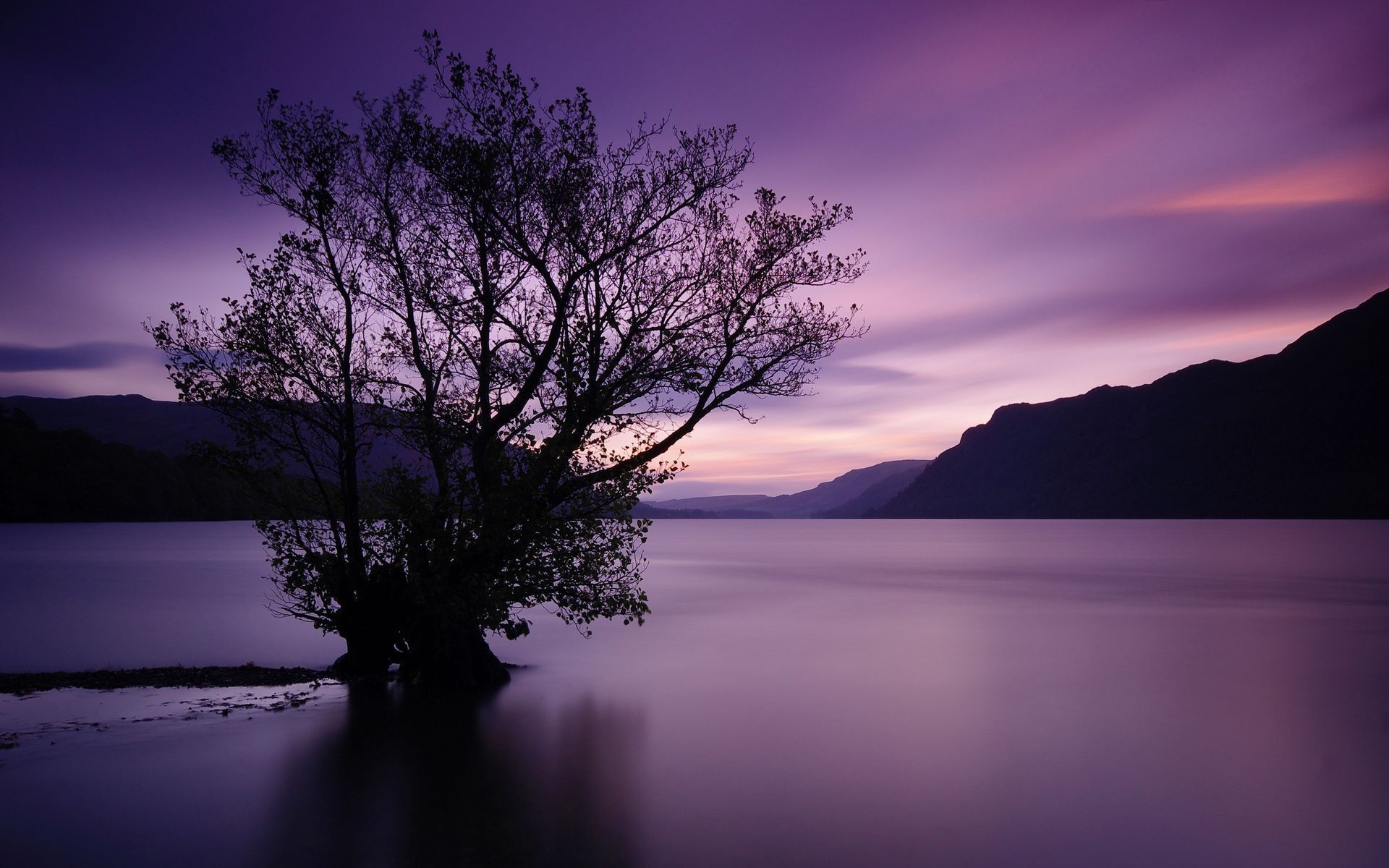 tree, Water, Surface, Mountains, Sunset Wallpaper