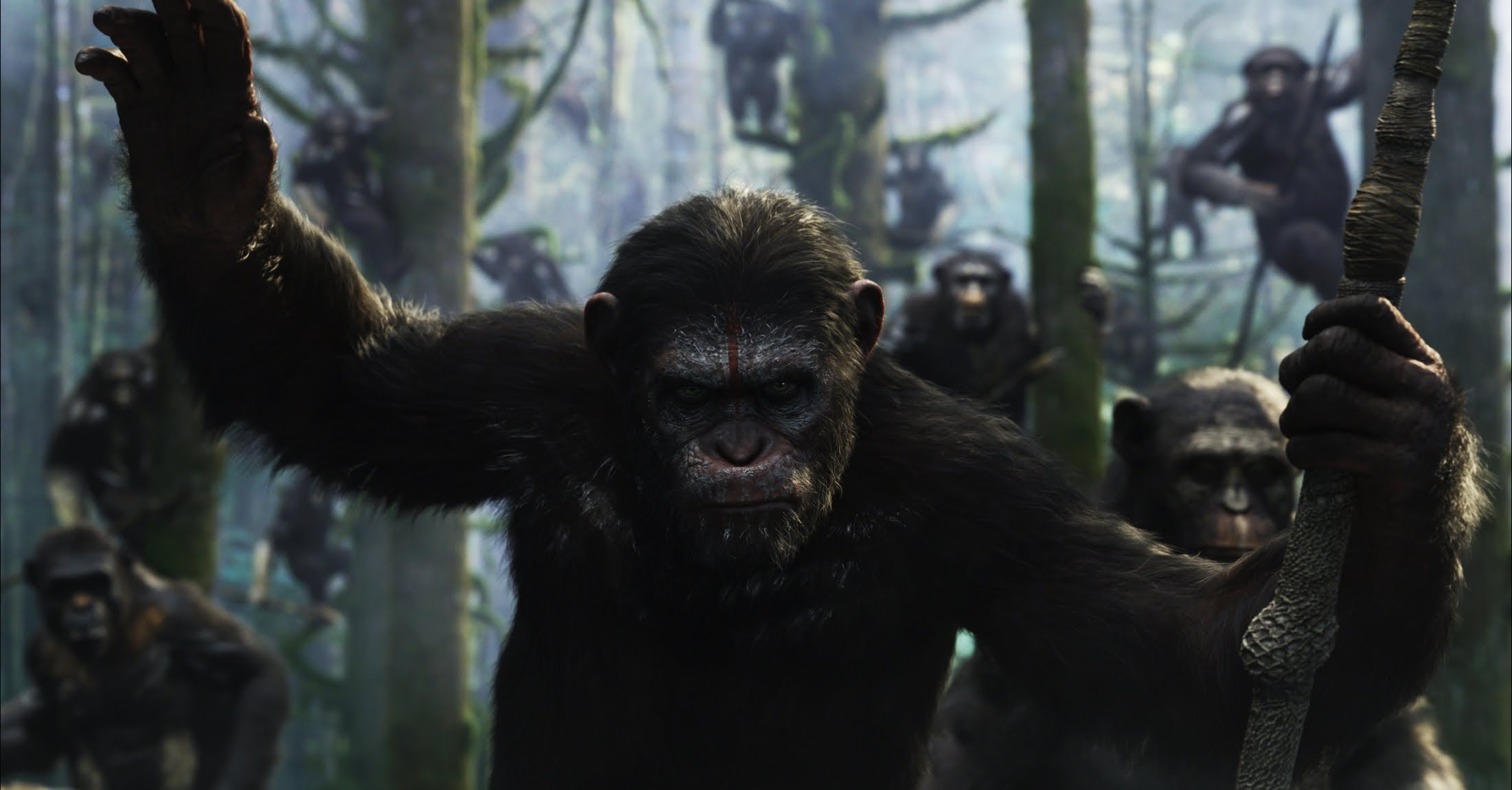 dawn, Of, The, Planet, Of, The, Apes, Movie, Sci fi, Monkey Wallpaper