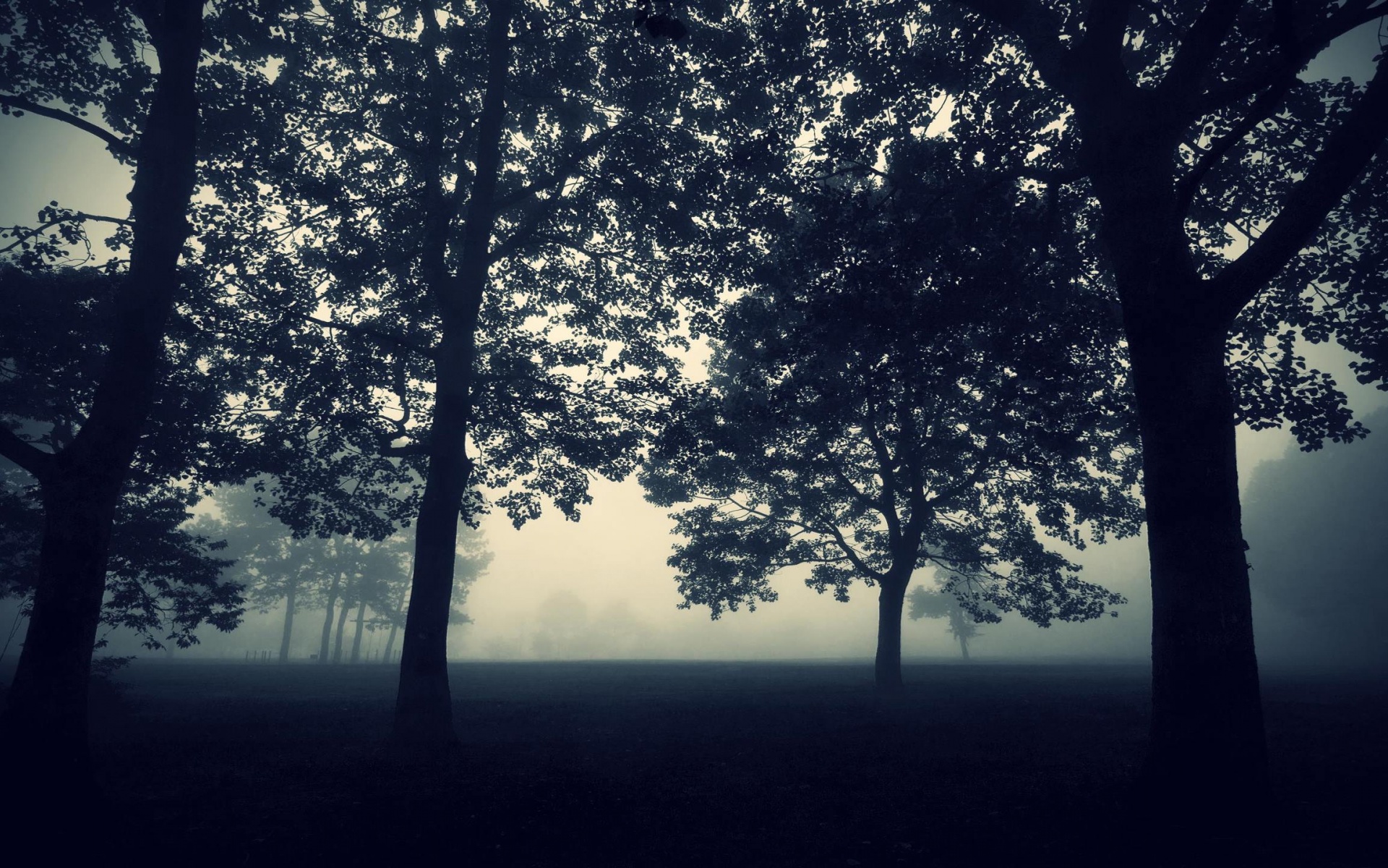 170486 Wallpaper