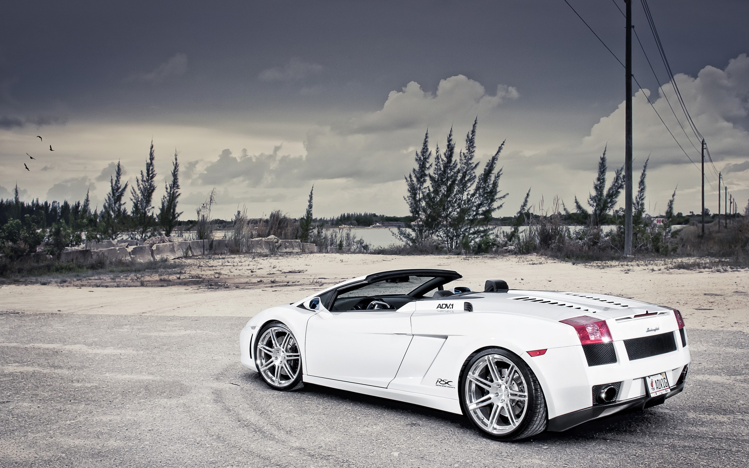 adv1, White, Lamborghini, Gallardo Wallpaper