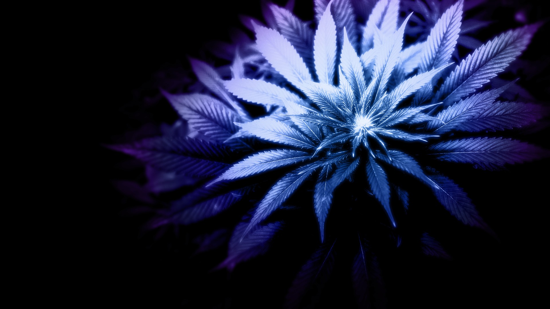 Weed Wallpaper Hd For Mobile Download