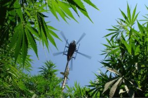 marijuana, Weed, 420, Ganja, Helicopter