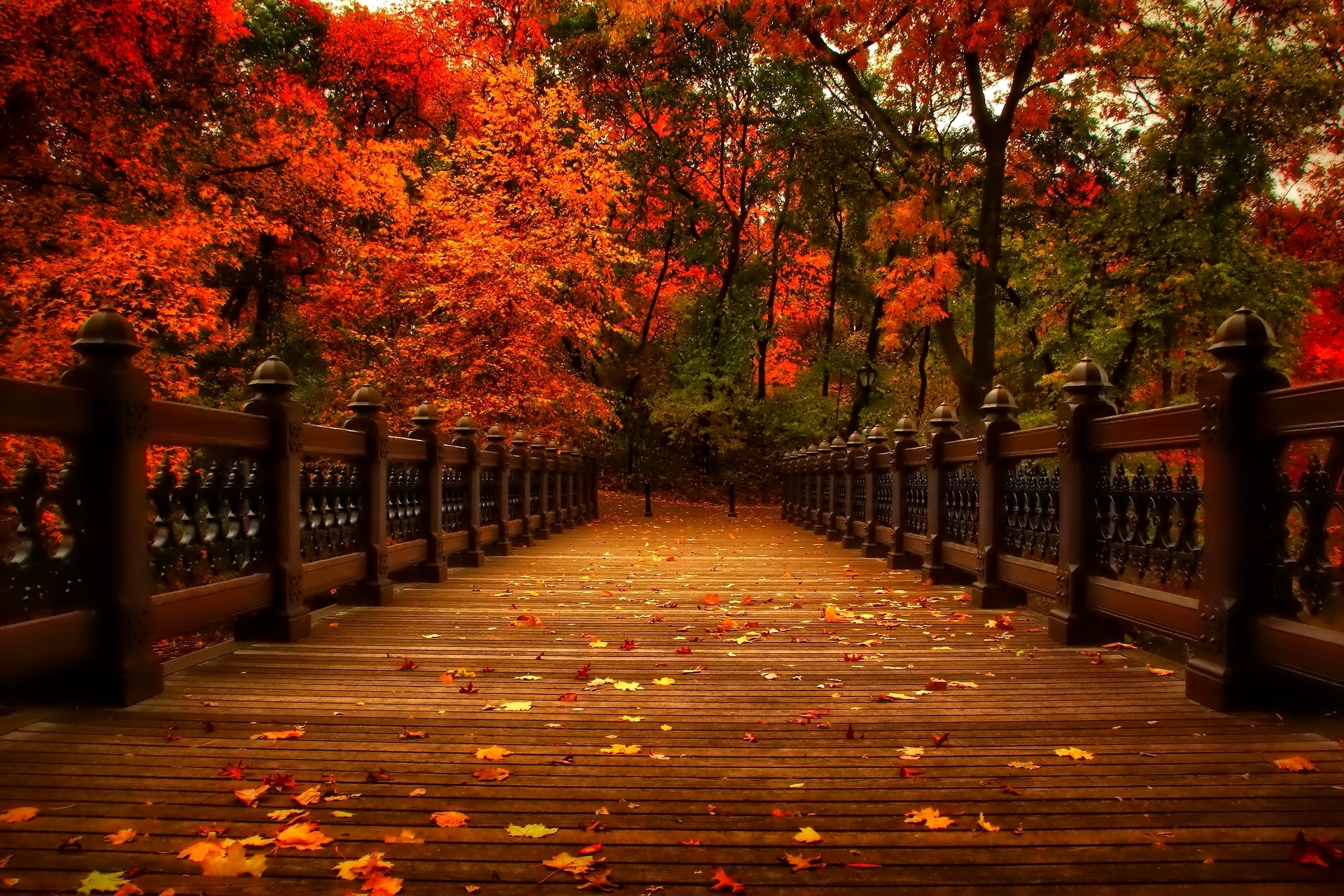 autumn, Nature, Park, Trees, Leaves, Alley, Autumn, View, Walk, Nature, Park, Trees, Leaves, Alley Wallpaper