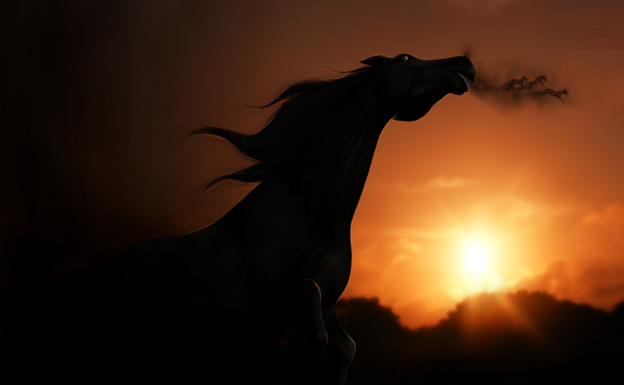 sunset, View, Horse, Rendering, Shadow Wallpaper