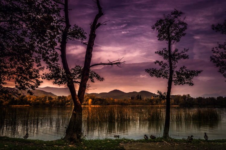 spain, Lake, Catalunya, Trees, Nature HD Wallpaper Desktop Background