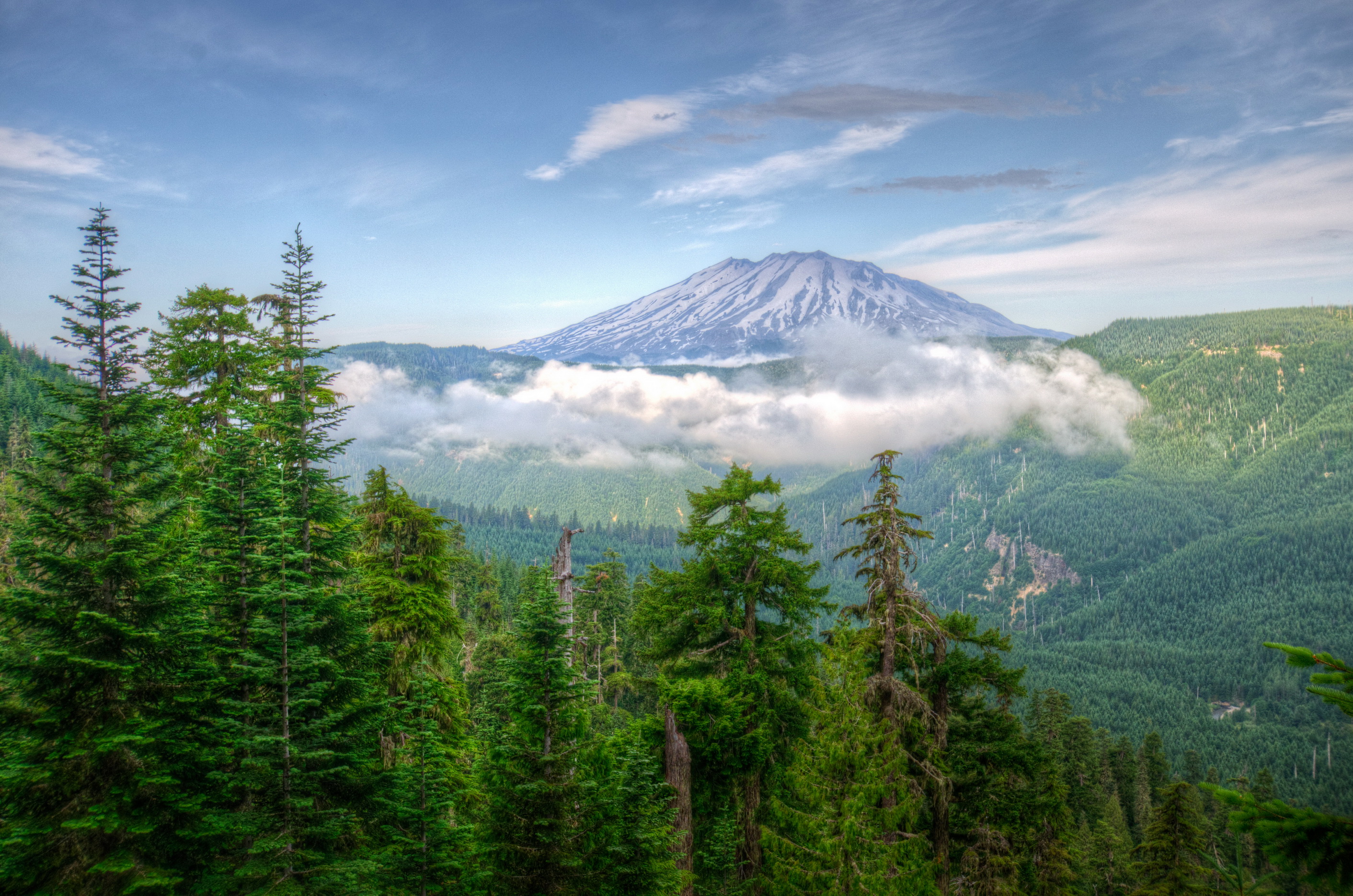 scenery, Usa, Mountains, Forests, Washington, Nature Wallpaper