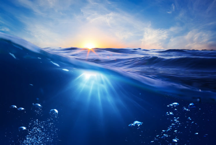 sea, Water, Underwater, World, Nature HD Wallpaper Desktop Background