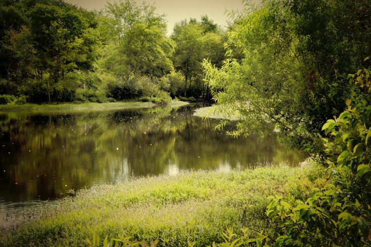 river, Trees, Landscape HD Wallpaper Desktop Background