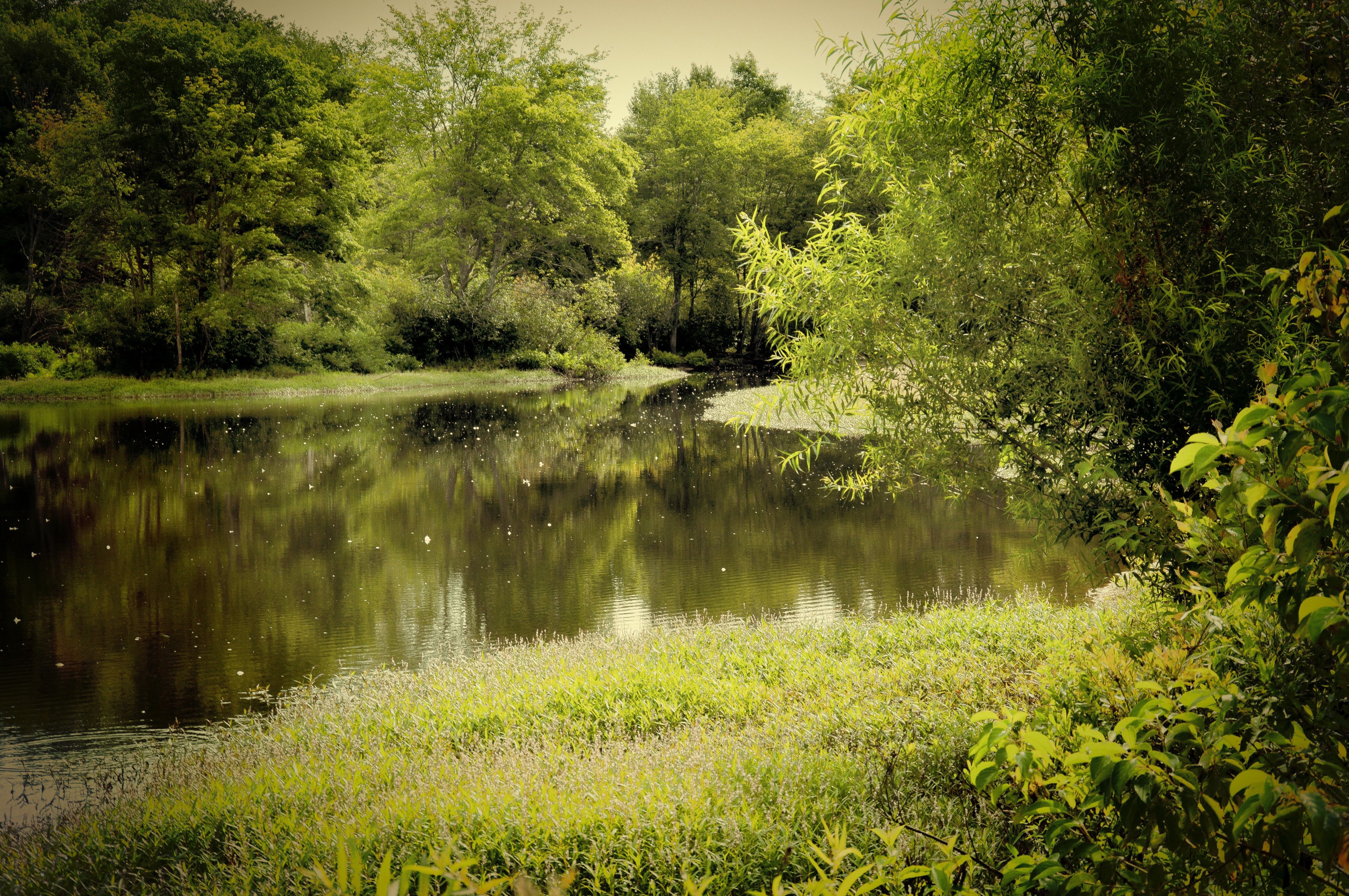 river, Trees, Landscape Wallpapers HD / Desktop and Mobile ...