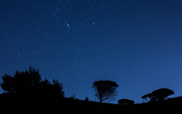 night, Stars, Trees, Silhouette HD Wallpaper Desktop Background