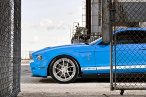 cars, Ford, Mustang, Shelby, Mustang, Blue, Cars, Natural, Lighting, Ford, Mustang, Shelby, Gt500