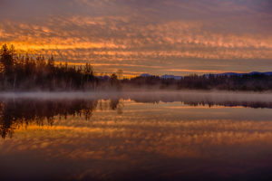 dawn, Morning, Mist, Reflection, Forest, Lake