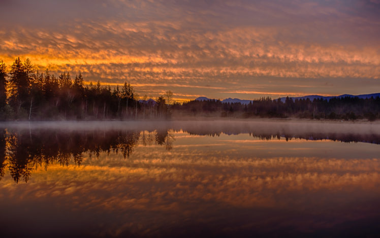 dawn, Morning, Mist, Reflection, Forest, Lake HD Wallpaper Desktop Background
