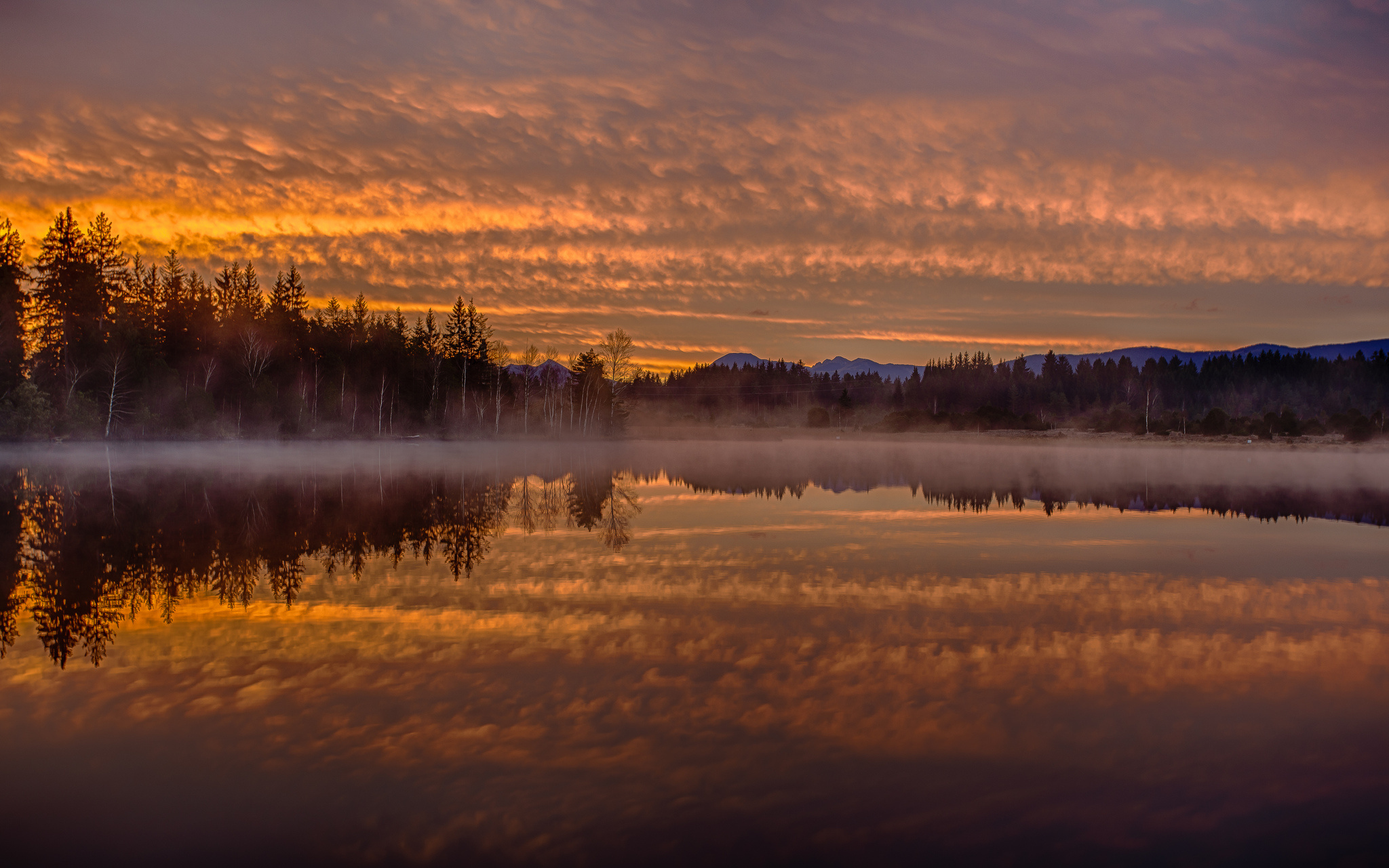 dawn, Morning, Mist, Reflection, Forest, Lake Wallpaper