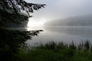 dew, Nature, Fog, Lake, Morning