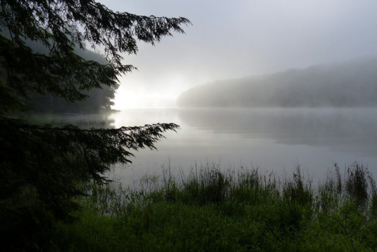 dew, Nature, Fog, Lake, Morning HD Wallpaper Desktop Background