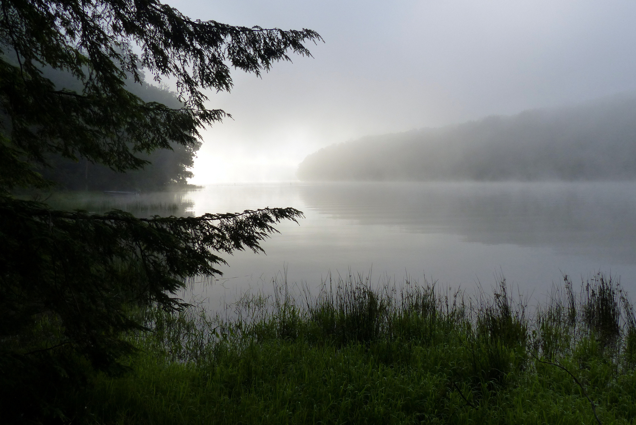 dew, Nature, Fog, Lake, Morning Wallpaper