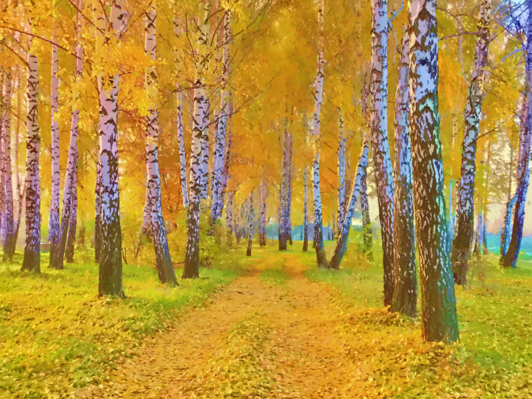 drawing, Nature, Landscape, Autumn, Road, Yellow, Leaves, And, Birch HD Wallpaper Desktop Background