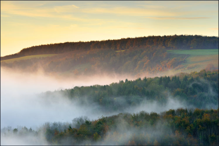 fall, Hills, Forest, Mist, Night, Autumn HD Wallpaper Desktop Background