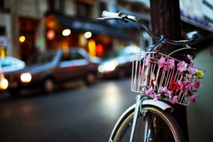 flowers, Basket, Post, Bike