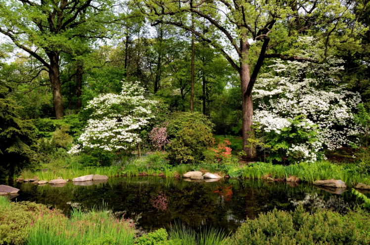 gardens, Pond, Usa, Belmont, New, York, City, Nature HD Wallpaper Desktop Background
