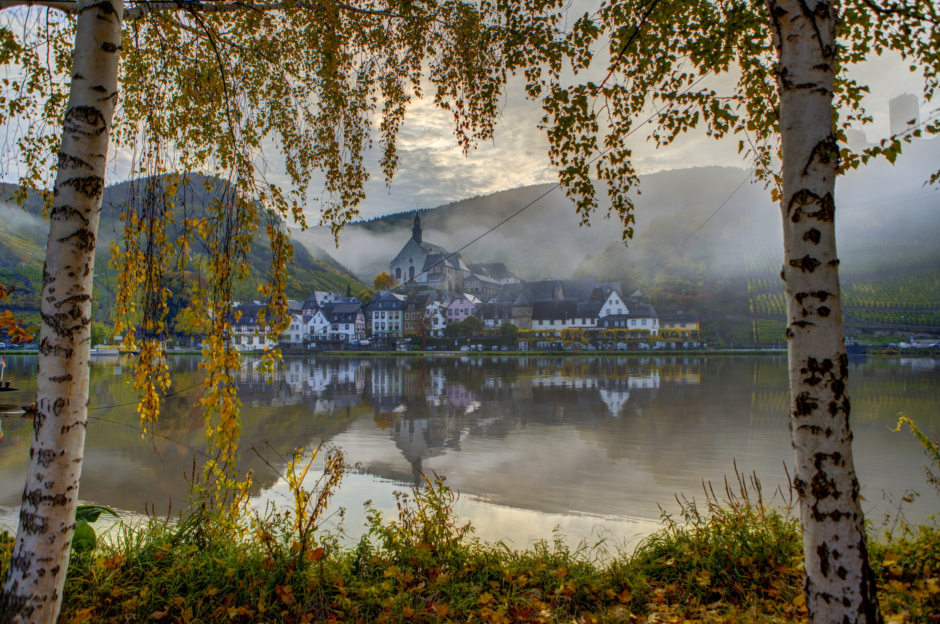 germany, Coast, Water, Ellenz poltersdorf, Trees, Birch, Fog, Cities Wallpaper