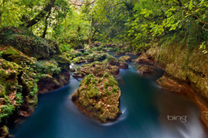 greece, River, Forest, Rocks
