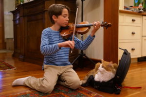 violin, Music, Friend, Malamute, Cat