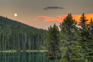 alberta, Canada, Lake, Forest, Sunset, Trees