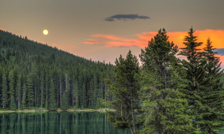 alberta, Canada, Lake, Forest, Sunset, Trees HD Wallpaper Desktop Background