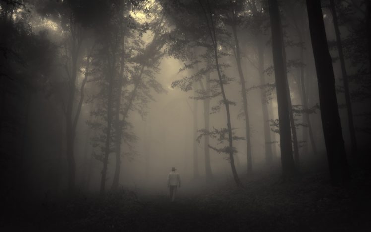 forest, Trees, Creepy, Nature, Landscape, Misty, Lonely, Old, Man, Road, Mood HD Wallpaper Desktop Background