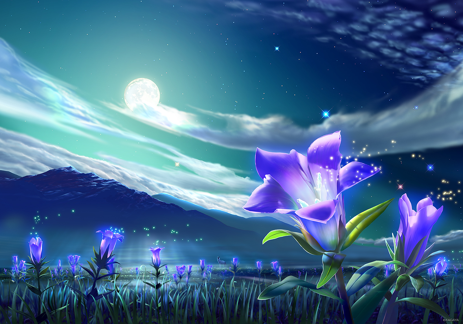original, Animal, Clouds, Flowers, Grass, Kagaya, Landscape, Moon, Night, Nobody, Original, Scenic, Sky, Stars Wallpaper