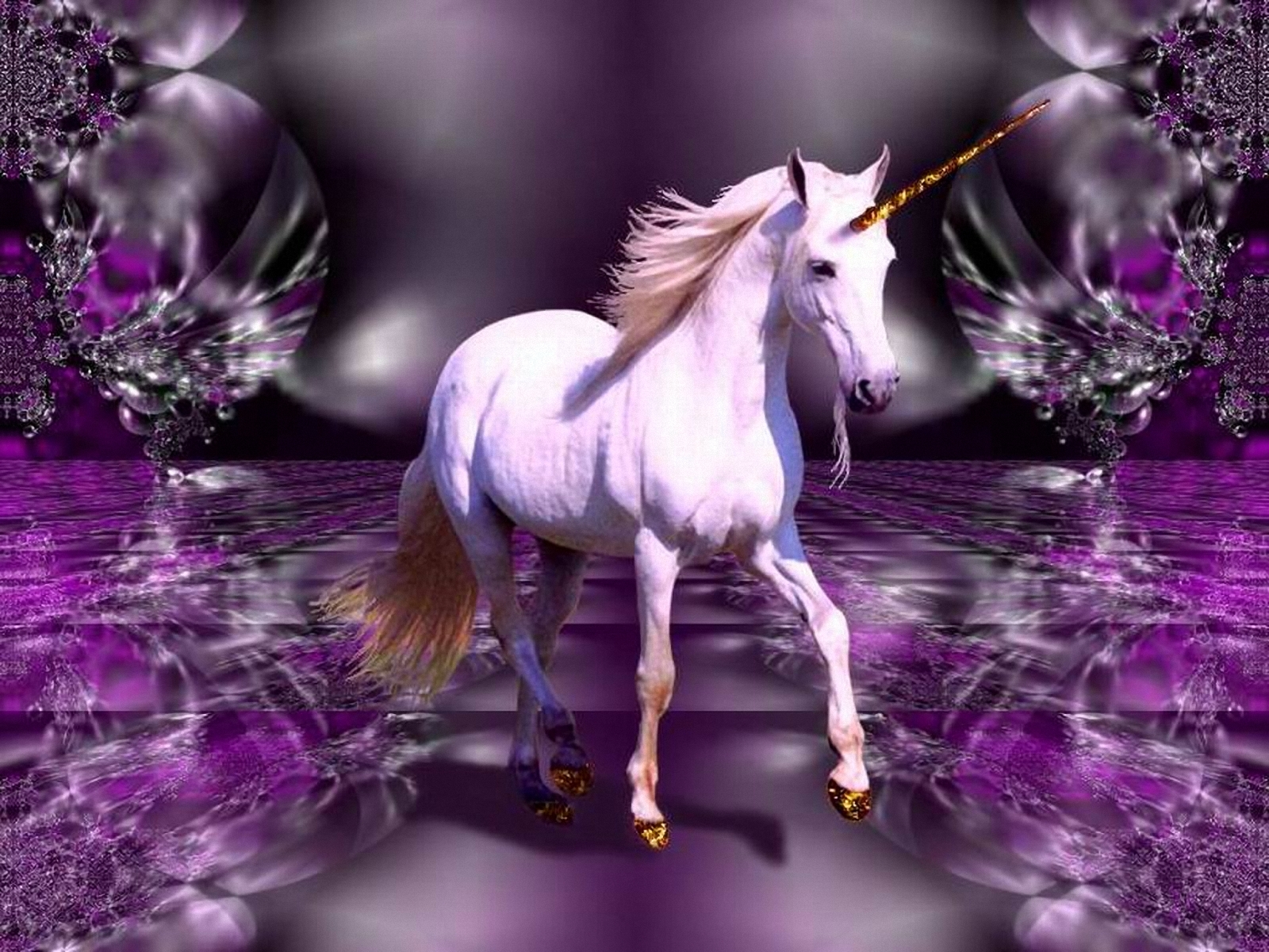 Unicorn Horse Magical Animal Wallpapers Hd Desktop And Mobile