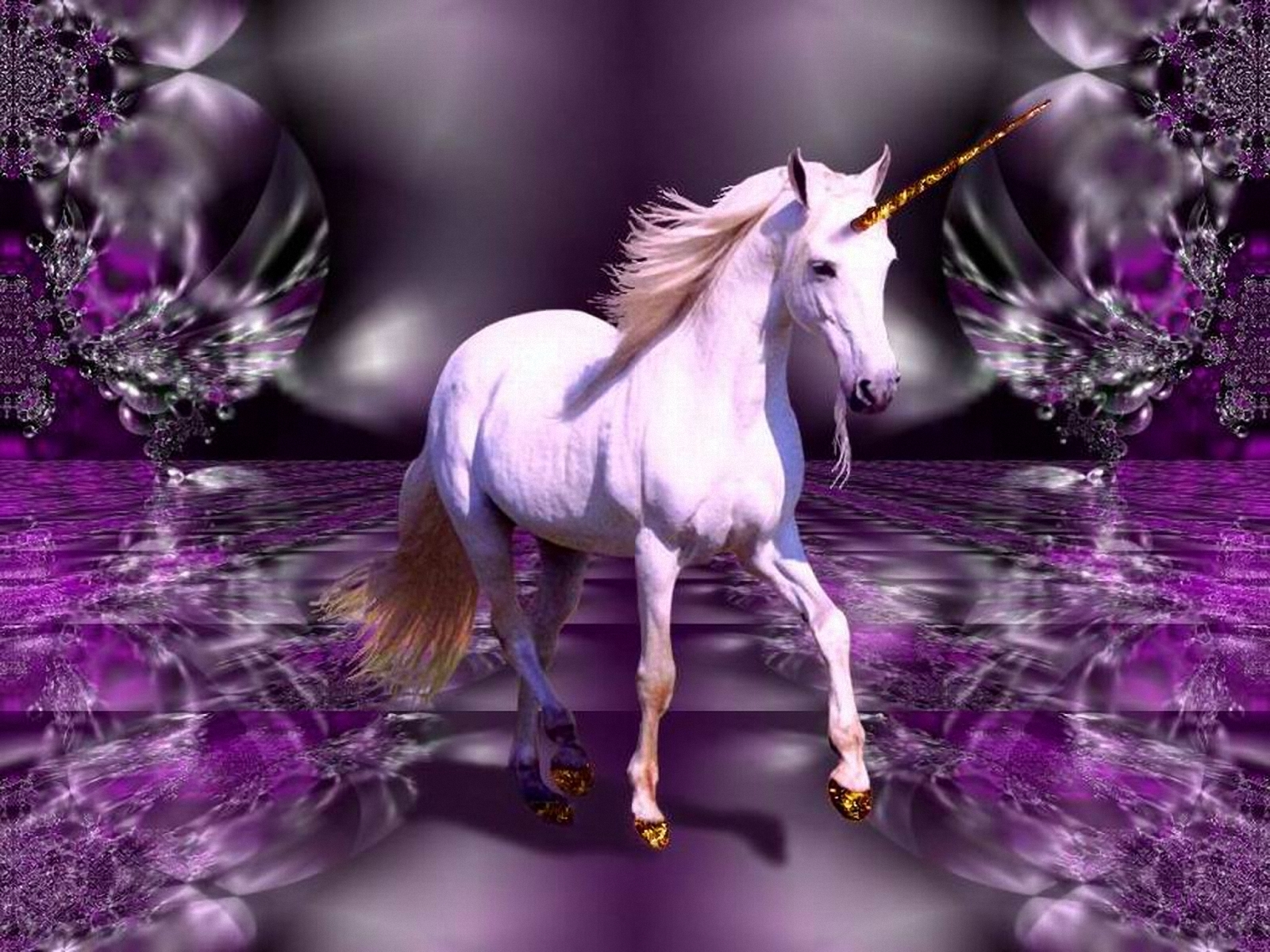 unicorn, Horse, Magical, Animal Wallpapers HD / Desktop and Mobile ...