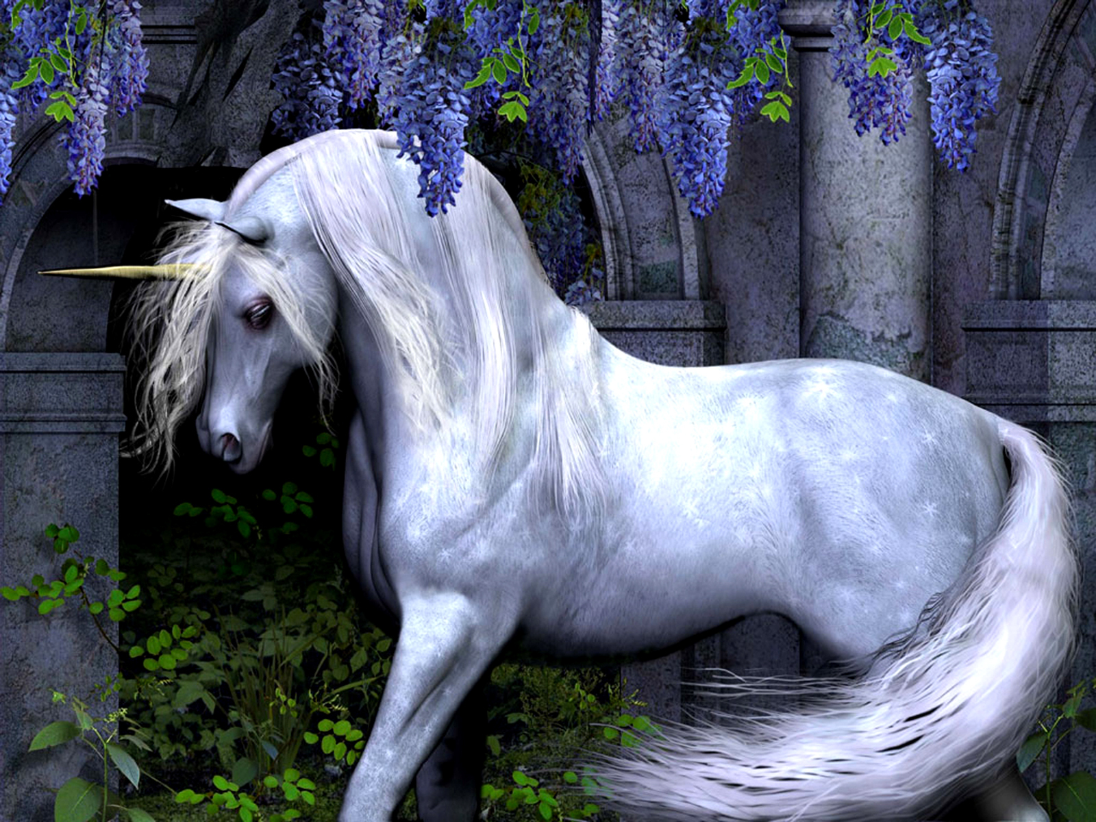 unicorn, Horse, Magical, Animal Wallpaper