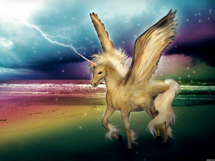 unicorn, Horse, Magical, Animal HD Wallpaper Desktop Background