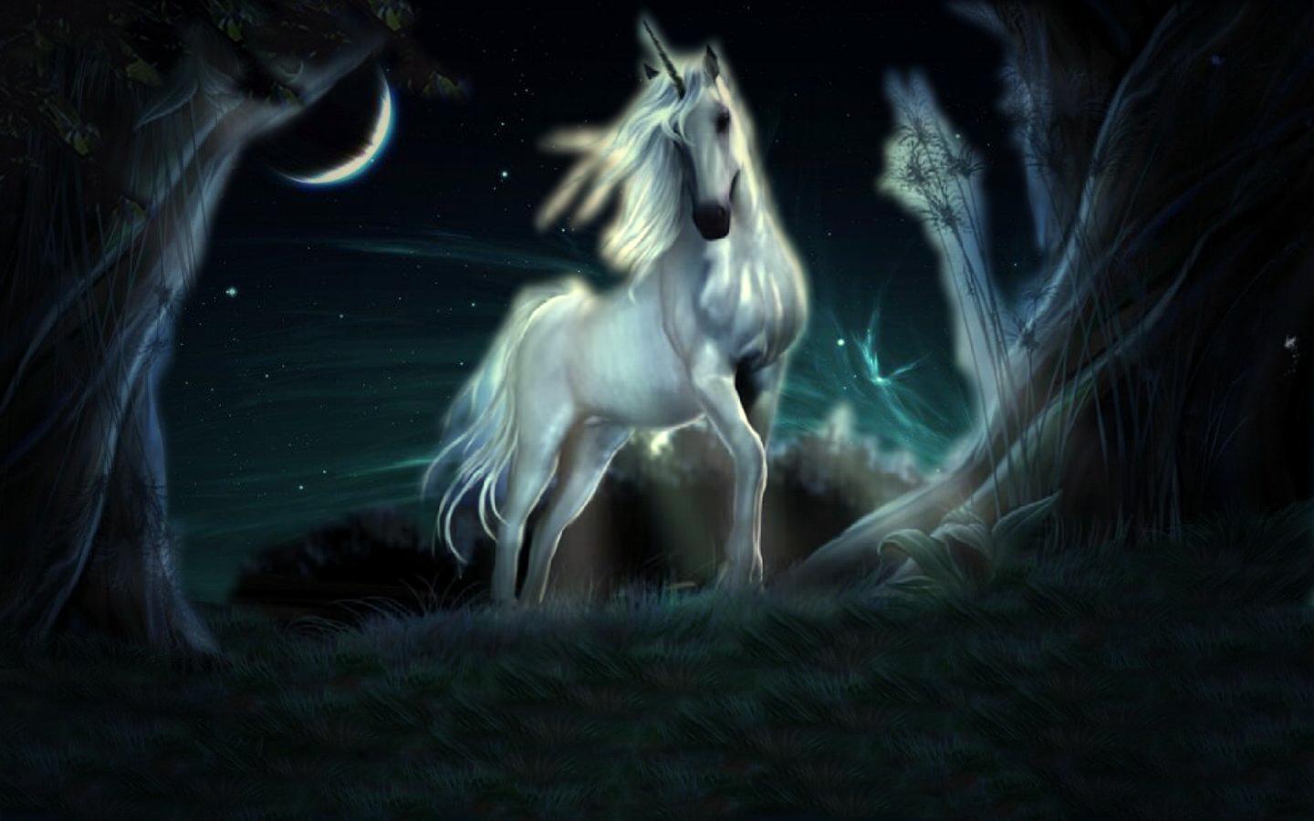 unicorn, Horse, Magical, Animal, Re Wallpaper