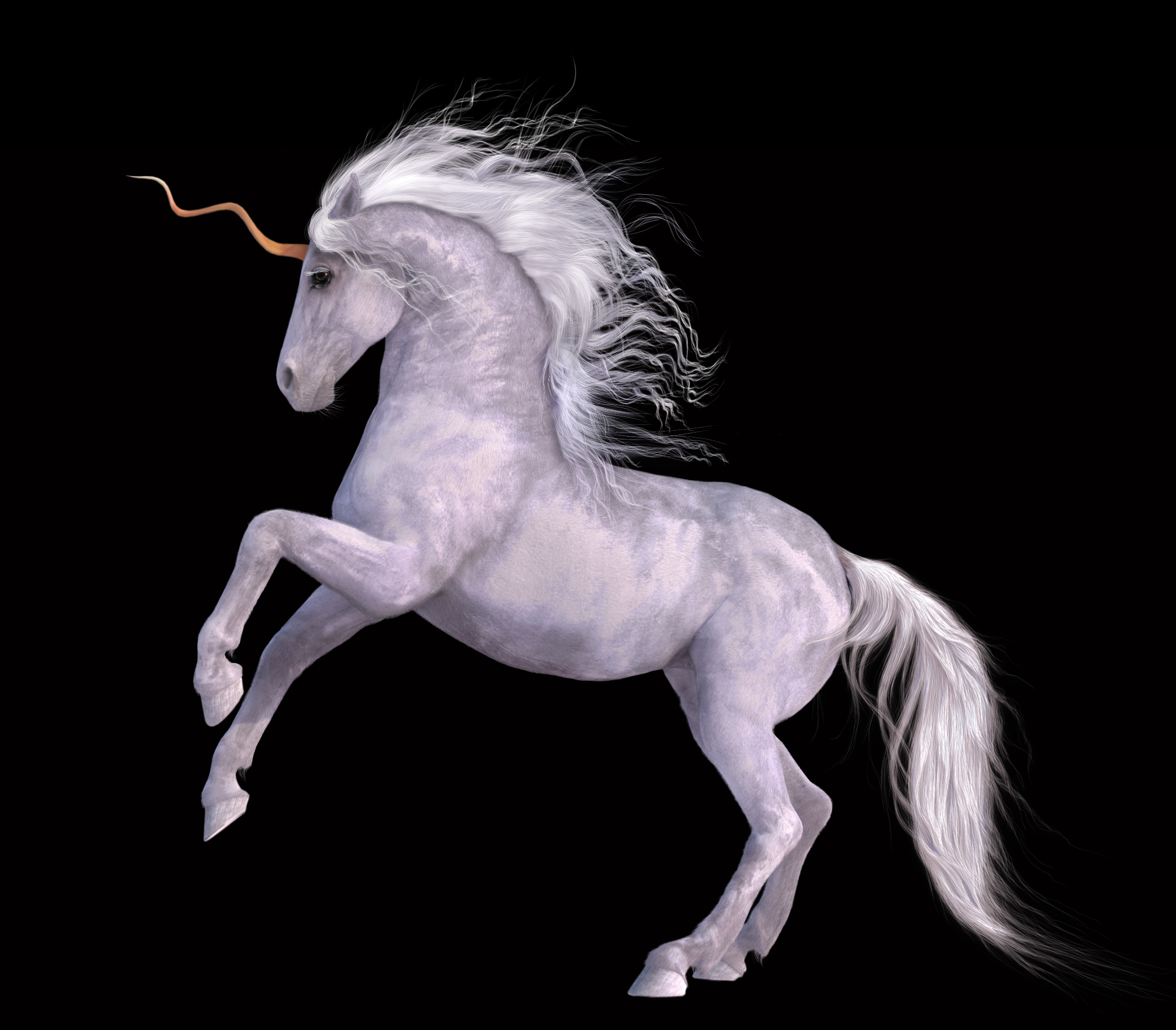 172461 Unicorn Horse Magical Animal 