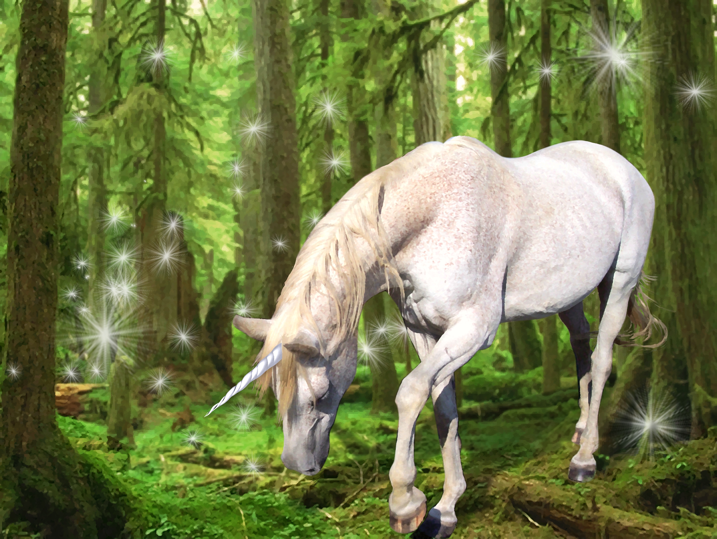 unicorn, Horse, Magical, Animal Wallpaper